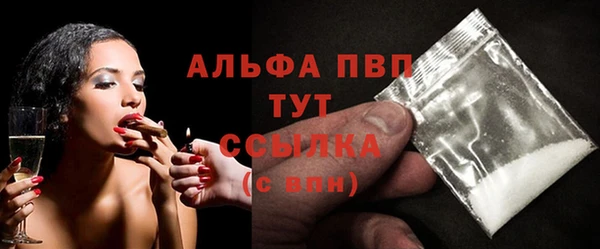 PSILOCYBIN Вяземский