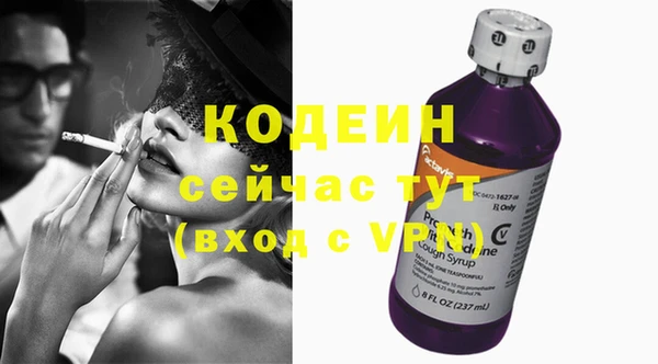 хмурый Сосновка